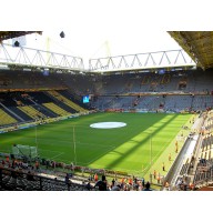 Спортивная искусственная трава Act Sports IconS 40 мм