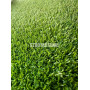Спортивна штучна трава Colorturf 15 мм
