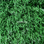Штучна трава SportGrass Lite 40 мм