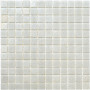 Мозаїка WHITE CORAL PL