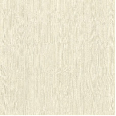 Шпалери Rasch AXIOM 963229