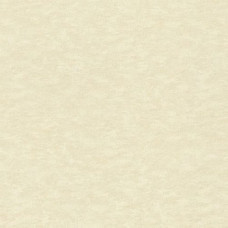 Обои Rasch Filigrano 964813