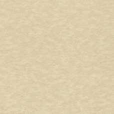 Обои Rasch Filigrano 964851