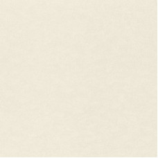 Обои Rasch Filigrano 964806