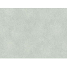 Обои Rasch Raymonds 957341