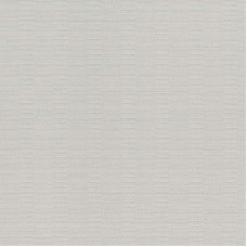 Шпалери Rasch AXIOM 960921