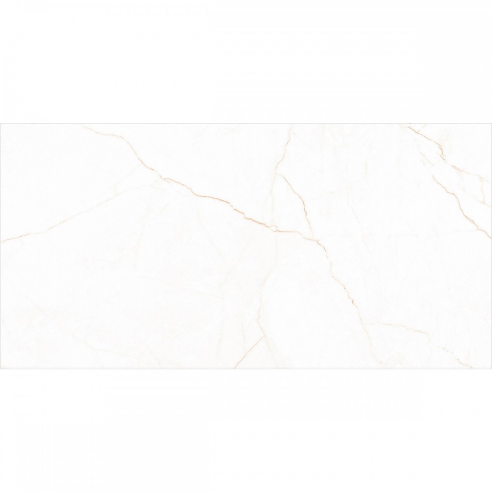 Керамогранит Almera Ceramica-2 Harmony Sne Brown 60х120 см