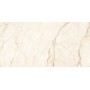 Керамогранит Almera Ceramica Ec.Alberi Crema 60х120 см