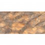 Керамограніт Almera Ceramica-2 RYMOND NATURAL POL 60х120 см