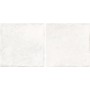 Керамогранит Almera Ceramica (Spain) Bright Talco 10x20 см