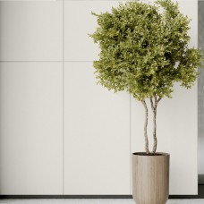 Керамогранит Cerrad Monolight Exterior White Rect 60x60 см Керамогранит Cerrad Monolight Exterior White Rect 60x60 см