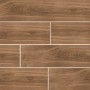 Керамогранит Almera Ceramica (Spain) Selva Teka R Pri. 22,5x119,5 см