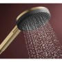 Ручной душ Hansgrohe Raindance Alive Select S, 24511140 EcoSmart, бронза