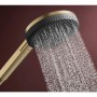 Ручной душ Hansgrohe Raindance Alive Select S, 24511140 EcoSmart, бронза
