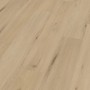 Виниловое покрытие Ter Hurne 1101290003 Solid 2450 Oak Amsterdam Дуб Амстердам