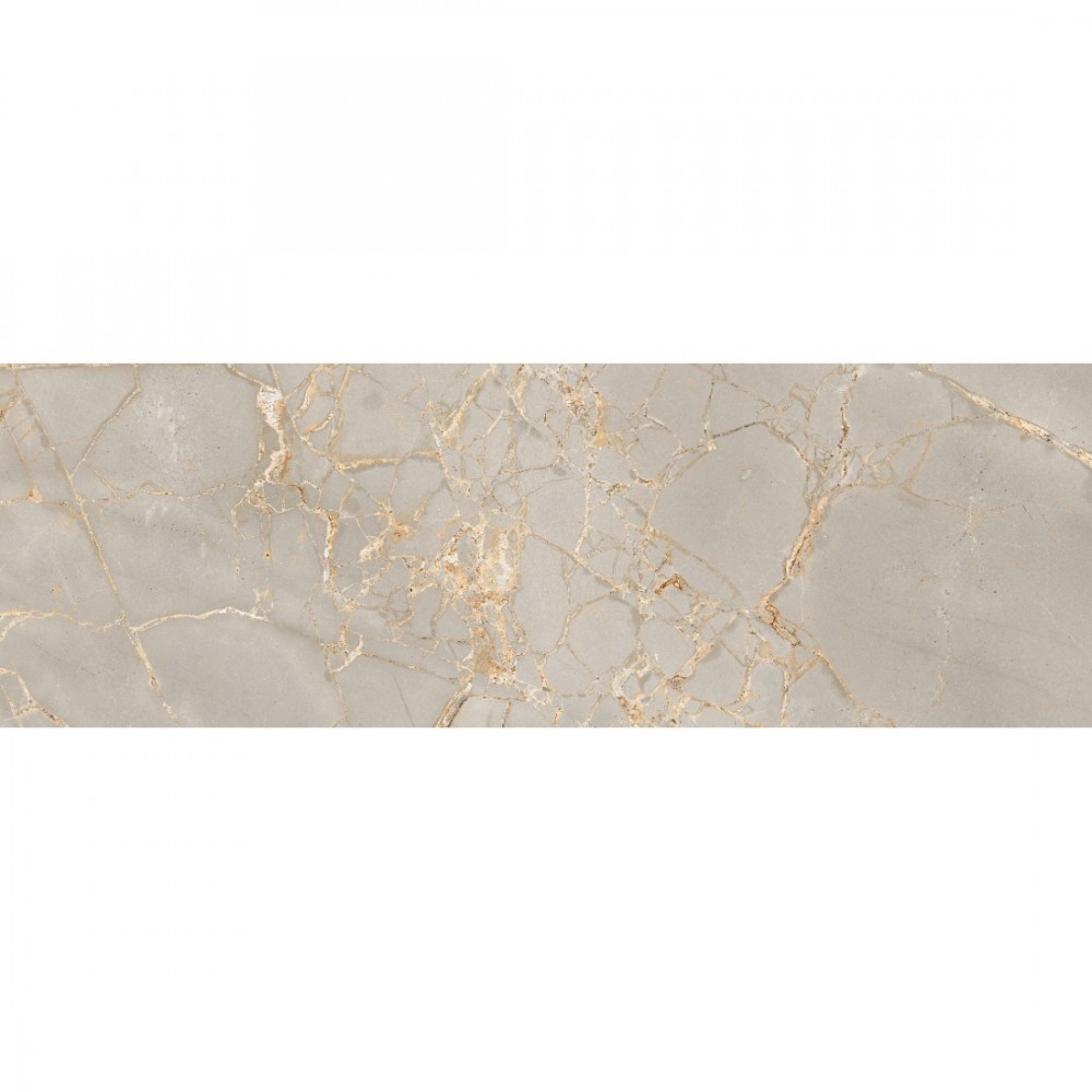 Плитка Ceramica Deseo Versace Grey 30х90 см