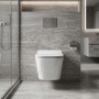 Унитаз подвесной Devit Linea DLI30401111W безободковый с крышкой soft-close и Vortex Flush, белый