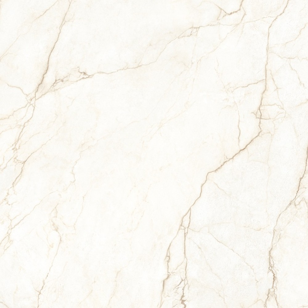 Керамогранит Almera Ceramica Ec.Alberi Blanco 120х120 см