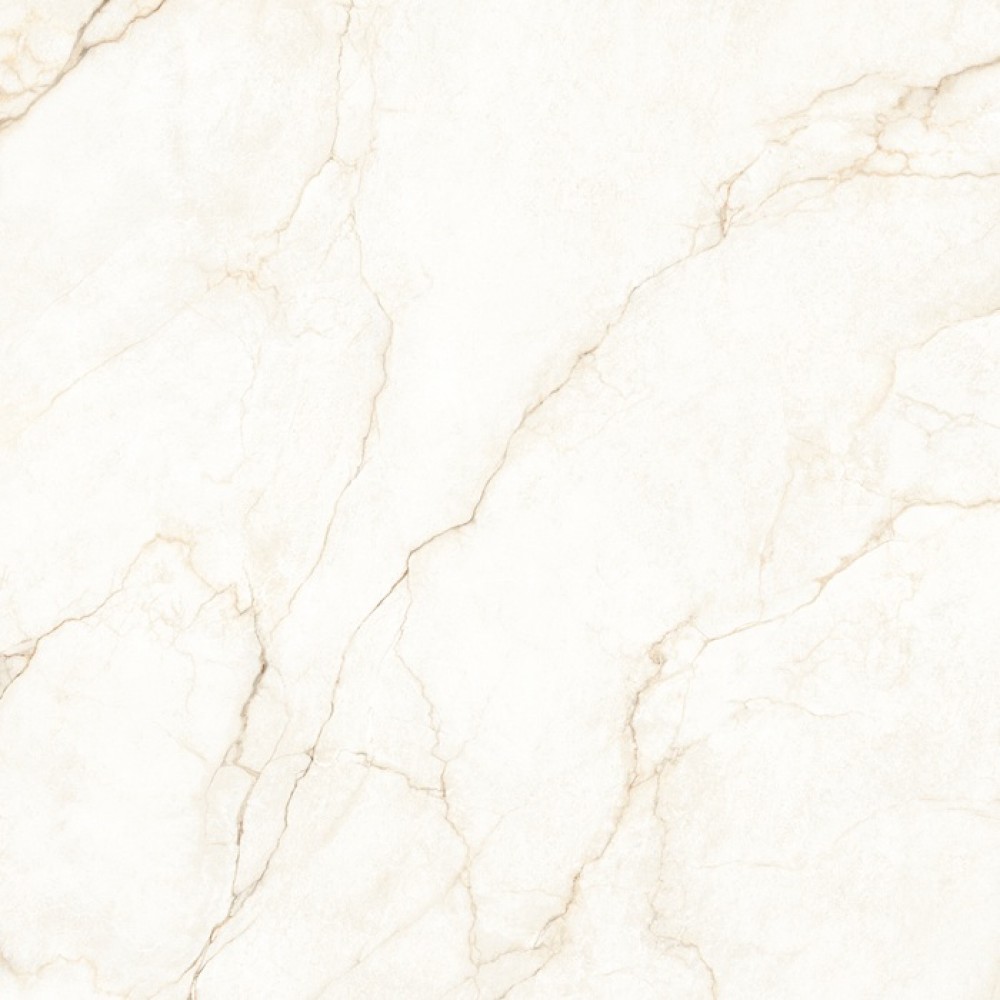 Керамогранит Almera Ceramica Ec.Alberi Blanco 120х120 см