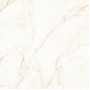 Керамогранит Almera Ceramica Ec.Alberi Blanco 120х120 см
