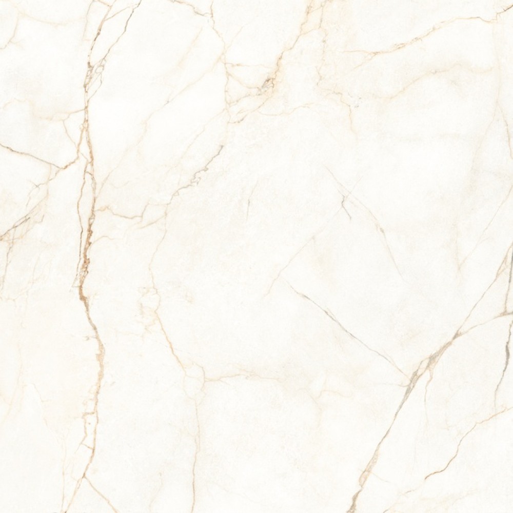 Керамогранит Almera Ceramica Ec.Alberi Blanco 120х120 см