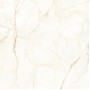 Керамогранит Almera Ceramica Ec.Alberi Blanco 120х120 см