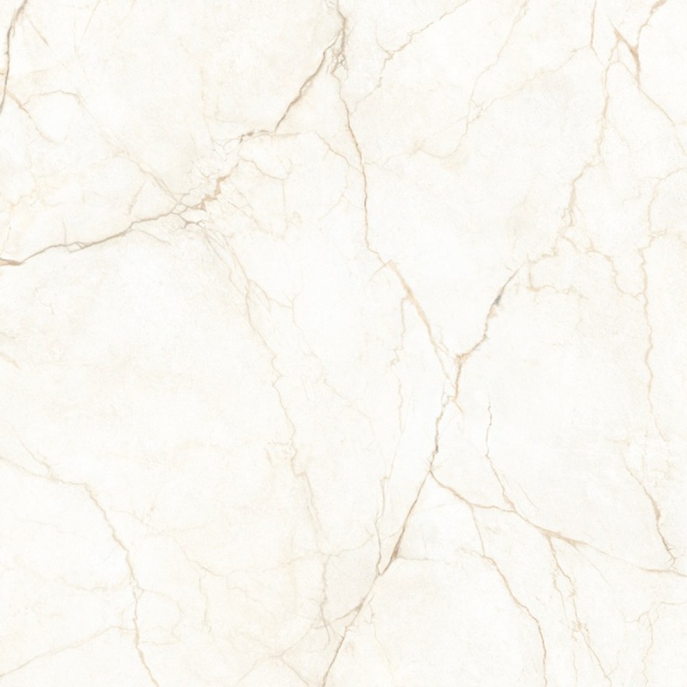 Керамогранит Almera Ceramica Ec.Alberi Blanco 120х120 см