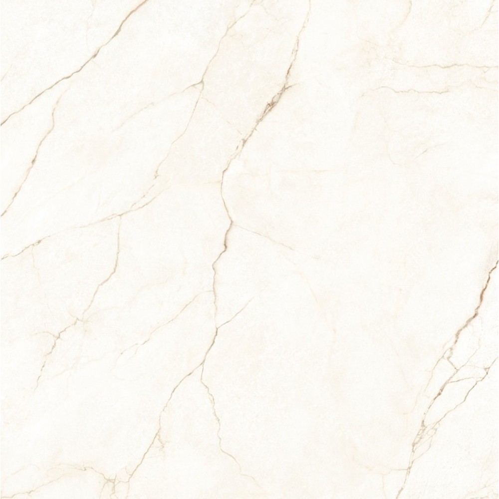 Керамогранит Almera Ceramica Ec.Alberi Blanco 120х120 см