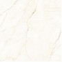 Керамогранит Almera Ceramica Ec.Alberi Blanco 120х120 см