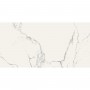 Керамогранит Almera Ceramica Carrara GQW8320P Light 60x120 см