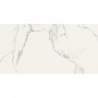Керамогранит Almera Ceramica Carrara GQW8320P Light 60x120 см