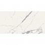 Керамогранит Almera Ceramica Carrara GQW8320P Light 60x120 см