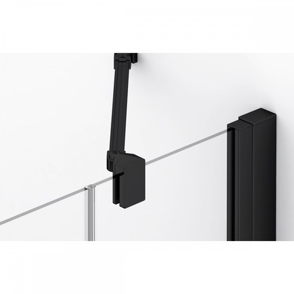 Душевые двери с фиксированной стенкой Ronal Annea BlackLine AN13WD12000607 120х200 см распашные правые, профиль черный матовый, прозрачное стекло