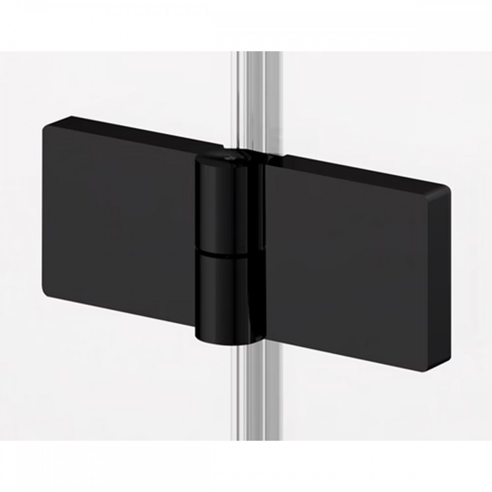 Душевые двери с фиксированной стенкой Ronal Annea BlackLine AN13WD12000607 120х200 см распашные правые, профиль черный матовый, прозрачное стекло