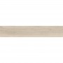 Плитка Ceramica Deseo Paradise Avorio 20x120 см