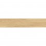 Керамогранит Alaplana P.E. Tiverton Haya Mate Rect. 23x120 см
