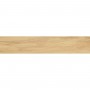 Керамогранит Alaplana P.E. Tiverton Haya Mate Rect. 23x120 см