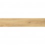 Керамогранит Alaplana P.E. Tiverton Haya Mate Rect. 23x120 см