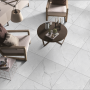 Плитка Ceramica Deseo Segesta Silver 60x60 см