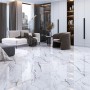 Керамогранит Megagres Carrara Adriatica CK6Y246PA 60x60 см