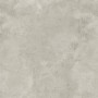 Керамогранит Opoczno Pl+ Quenos Light Grey 59,8x59,8 см
