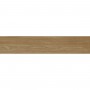 Керамогранит Almera Ceramica (Spain) Noe Natural 23x120 см
