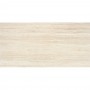 Керамогранит Almera Ceramica (Spain) P.E. Avignon Bone Mt Rect 60х120 см