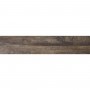 Керамогранит Almera Ceramica Alven Forest 23x120 см