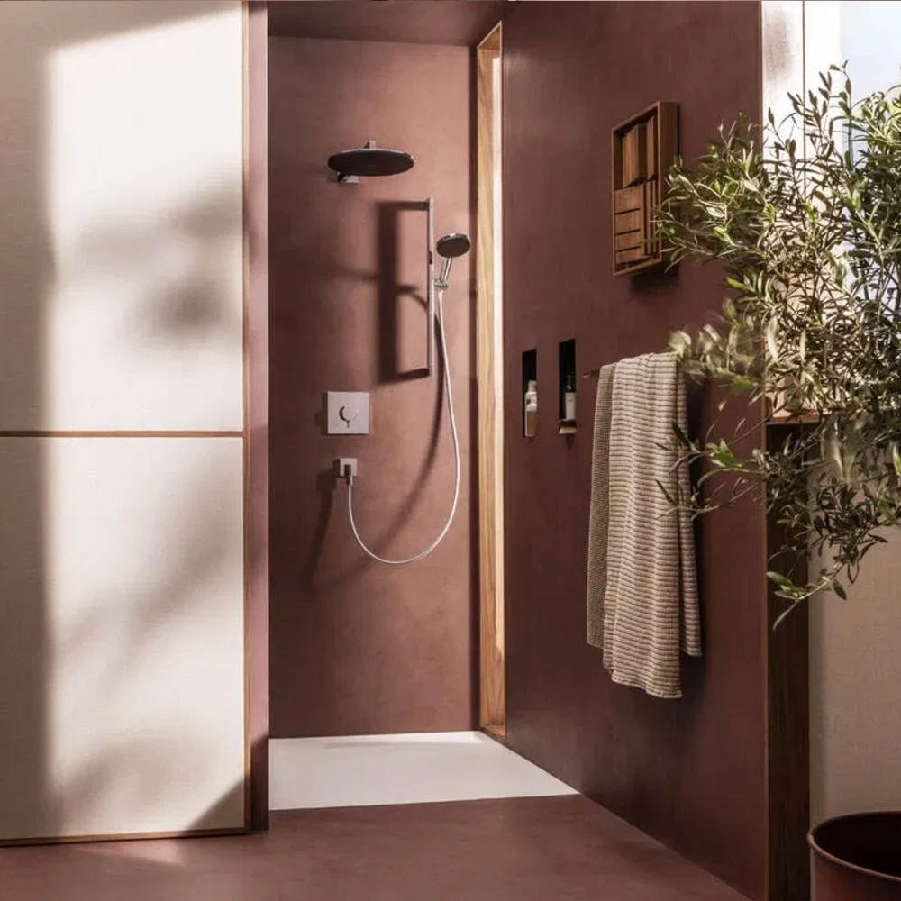 Верхний душ Hansgrohe Raindance Alive S 24520000 300 1jet хром