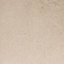 Керамогранит Porcelanosa Dorcia Bone L 80X80(A) 100348054 80х80 см