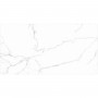 Керамогранит Almera Ceramica-2 Carrara Matt Qp8320Bmb 60x120 см