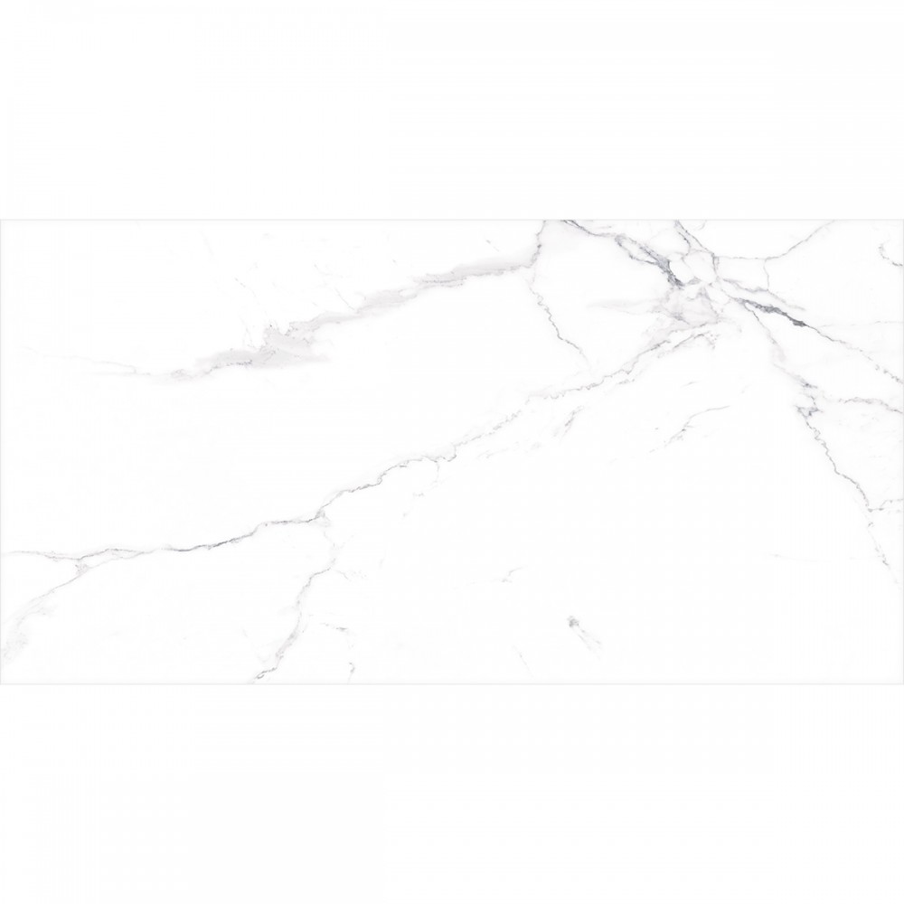 Керамогранит Almera Ceramica-2 Carrara Matt Qp8320Bmb 60x120 см