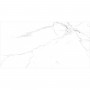 Керамогранит Almera Ceramica-2 Carrara Matt Qp8320Bmb 60x120 см