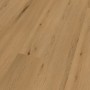 Виниловое покрытие Ter Hurne 1101290001 Solid 2448 Oak Lyon Дуб Лион